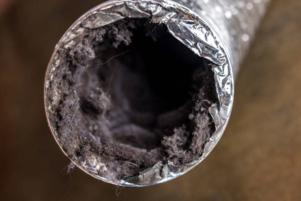 Best Home Air Vent Cleaning  in North Lakeville, MA